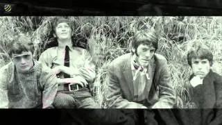 The Grass Roots - Baby Hold On [HQ Audio]