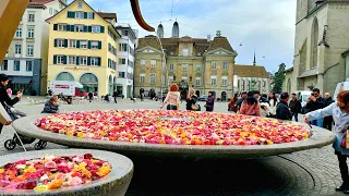 Peaceful Spring Walk In Zurich City Switzerland🇨🇭 Floating Roses In Swiss Fountain