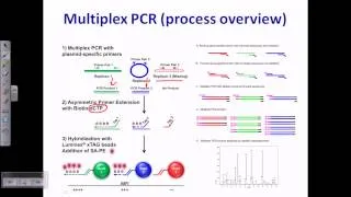 Multiplex PCR