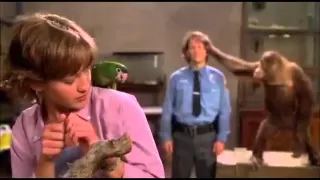 a very funny scene from the animal ,