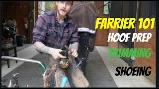 Trimming & Shoeing Horses Like I Do Everyday- Farrier