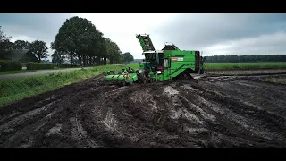 Potato Harvest 2023 I Berkers Deurne I 2x AVR Puma / Gilles / Fendt