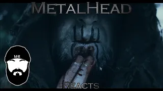 METALHEAD REACTS to "Blood Of The North" by Nytt Land