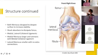 Medial Knee Pain Webinar