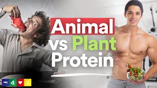 Animal Vs Plant Protein: Which Is Better?