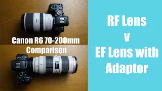 Canon R6 with the EF lens Adapter - Does it work?