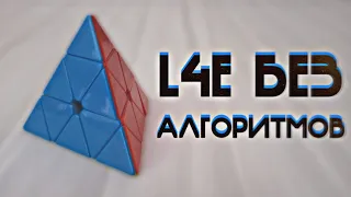 Полезные L4E АЛГОРИТМЫ + Как ВЫУЧИТЬ L4E БЕЗ АЛГОРИТМОВ | 315