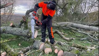 Cutting firewood with Stihl MS261 C-M Chainsaw