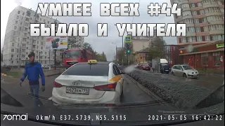 УМНЕЕ ВСЕХ #44. БЫДЛО И УЧИТЕЛЯ НА ДОРОГЕ