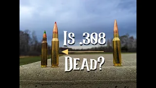 Is .308 Win Dead Because Of Calibers Like 6.5cm?