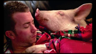 Esther the Wonder Pig | Steve Jenkins & Derek Walter | TEDxStLawrenceCollege