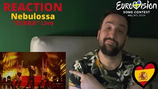 🇪🇸 SPAIN / REACTION: Nebulossa with "Zorra" Live (Eurovision 2024)