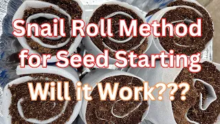 Seed Snail Rolls | New Seed Starting Method #tips #grow #seeds