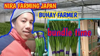 Araw araw na Trabaho ng NIRA FARMING sa Japan.Trabaho para sa pamilya