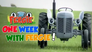 A Week with Fergie ! (Monday to Sunday) - Film | Little Grey Fergie