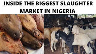 BUYING OF GOAT AND COW MEAT IN NIGERIA MARKET