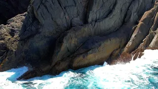 HUGE SAMSON FISH  Cliffs Fishing