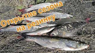 Открытие сезона на резинку // Установка снасти// Рыбалка на Амуре.