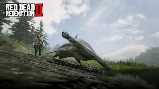 Rdr2 Cut Animals found in the game files