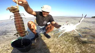 Catching GIANT BLUE CRAB vs GIANT MANTIS SHRIMP! Hunting in remote island