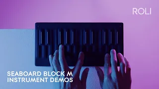 Seaboard BLOCK M: Any instrument is possible. Anywhere.