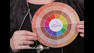 How to Use The Flesh Tone Color Wheel™