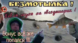 Безмотылка в глухозимье!Окунь на гвоздешарик!