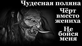 Истории на ночь (3в1): 1.Чудесная поляна, 2.Чёрт вместо жениха, 3.Не бойся меня