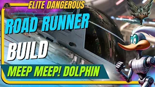 RoadRunner SCO Dolphin Experimental Build Elite Dangerous