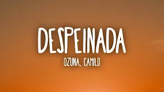 Ozuna x Camilo   Despeinada  (1 HOUR LOOP) Lyrics