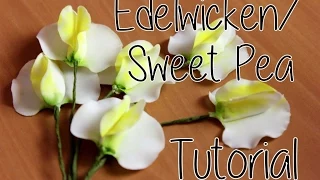 Zucker- Edelwicken I Gumpaste Sweet Pea I Tutorial I Tortendekoration