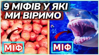 МІФИ. 9 топ МІФІВ, у які ми віримо, але це неправда!!! #3