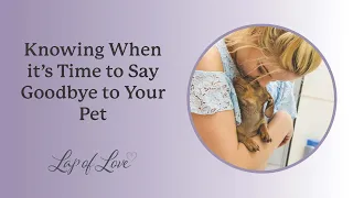 Knowing When it's Time to Say Goodbye to Your Pet