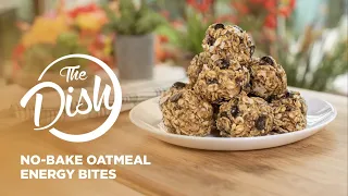 Healthy No-Bake Oatmeal Energy Bites