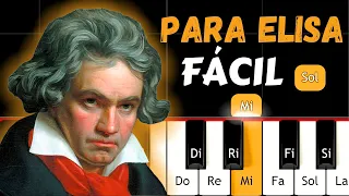 PARA ELISA DE BEETHOVEN -EASY PIANO TUTORIAL -TEMA PIANO CON NOTAS