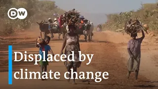From Madagascar to Iraq, climate change is casting a wide net I DW News