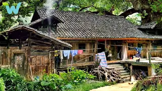 The abandoned wooden house in the forest, me and the villagers renovated it