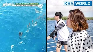 "If we don't get to see dolphins, Hwijae has to do the dolphin show" XD [Battle Trip/2018.04.29]