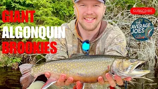 GIANT ALGONQUIN Brook Trout Fishing - Backcountry Canoe Trip