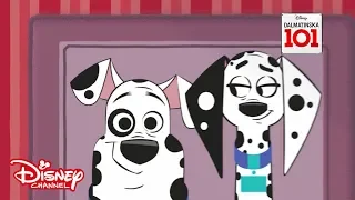 Seznamte se s rodinou  🐶 | Dalmatinská 101 | Disney Channel