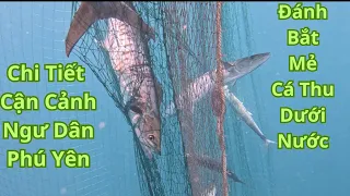 Chi Tiết Cận Cảnh Ngư Dân Phú Yên Đánh Bắt Mẻ Cá Thu Dưới Nước @PhuYenNghiaTinh