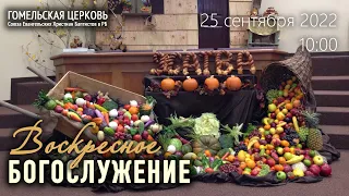 Жатва 25.09.2022, 10:00