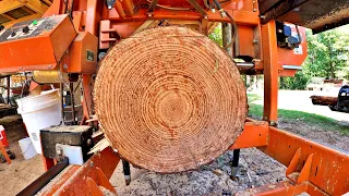 Turning Trees into Money on the Sawmill