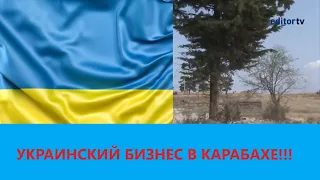 Украина может  участвовать в  восстановлении Карабаха