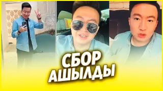 ✅ ҚАДЫРБАЕВ ТАҒЫ ДА СБОР АШТЫ