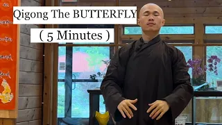 Stretching BODY, Improving FLEXIBILITY and BALANCE | Qigong The BUTTERFLY ( 5 Minutes )