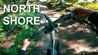 Bikepark Winterberg - North Shore / 2020