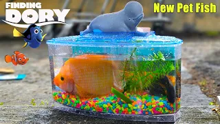 Finding Dory Aquarium! Catching New Pet Fish