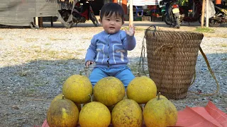 Harvest green grapefruit to sell at the market, buy warm clothes for the old woman who lives alone.