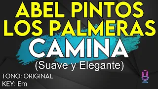 Abel Pintos, Los Palmeras - Camina (Suave y Elegante) - Karaoke Instrumental
